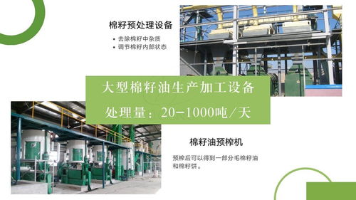 成套棉籽油生產(chǎn)加工設(shè)備 大中小型棉籽油生產(chǎn)加工設(shè)備 廠家供應(yīng)