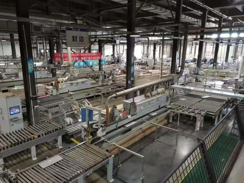 智能制造賦能綠色發展 探訪廣東佛山家居智能工廠與凈水劑制造